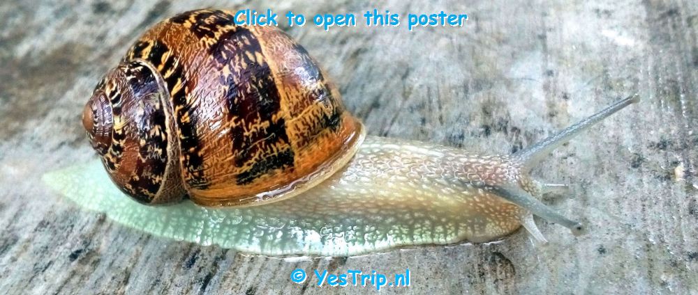 xxx From Montpellier to Gignac xxx